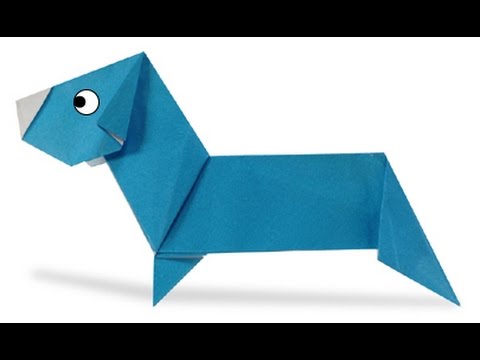 Dachshund