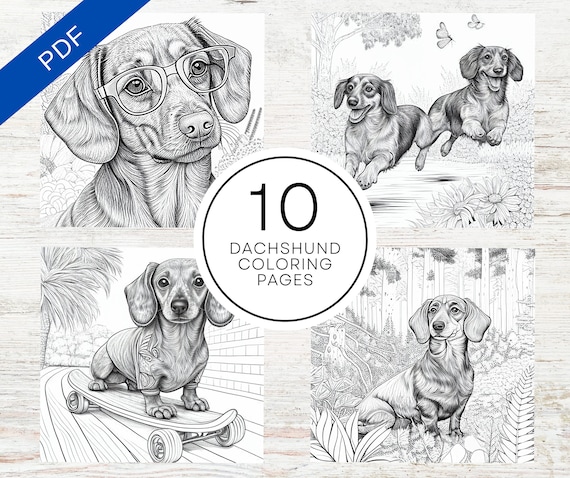 Cute dachshund dogs coloring pages printable dog coloring sheets for teens adults dog lovers stress relief and relaxation