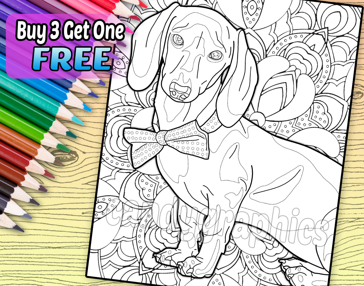 Dapper dachshund adult coloring book page printable instant download