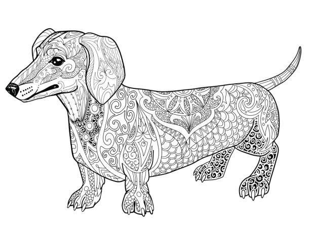 Abstract dachshund doodle coloring book page for adult stock illustration