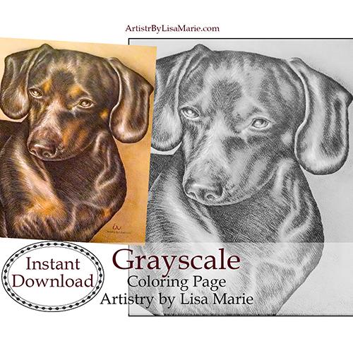 Dachshund printable coloring book page â artistry by lisa marie
