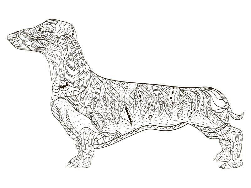 Dachshund coloring book for adults vector stock vector