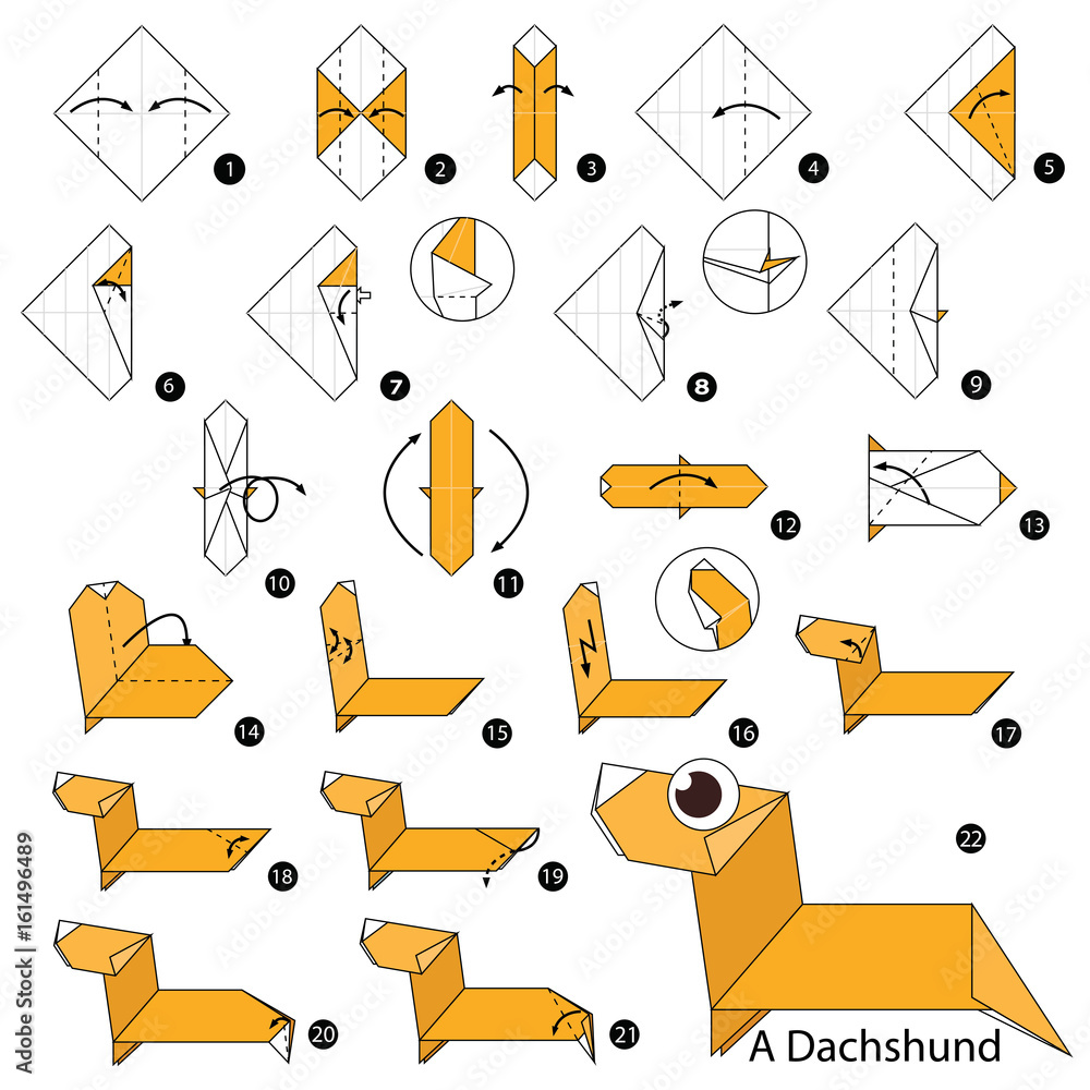 Step by step instructions how to make origami a dachshund vector