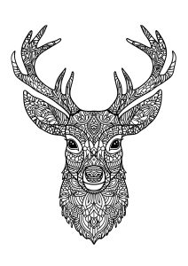 Deers