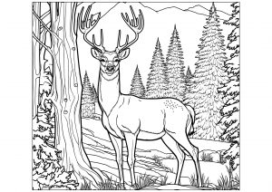 Flowery deer