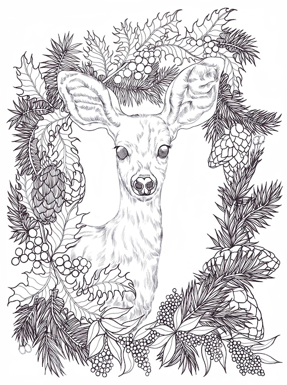 Happy holidays deer printable coloring pages from binna kim art animal drawing christmas coloring designs coloring
