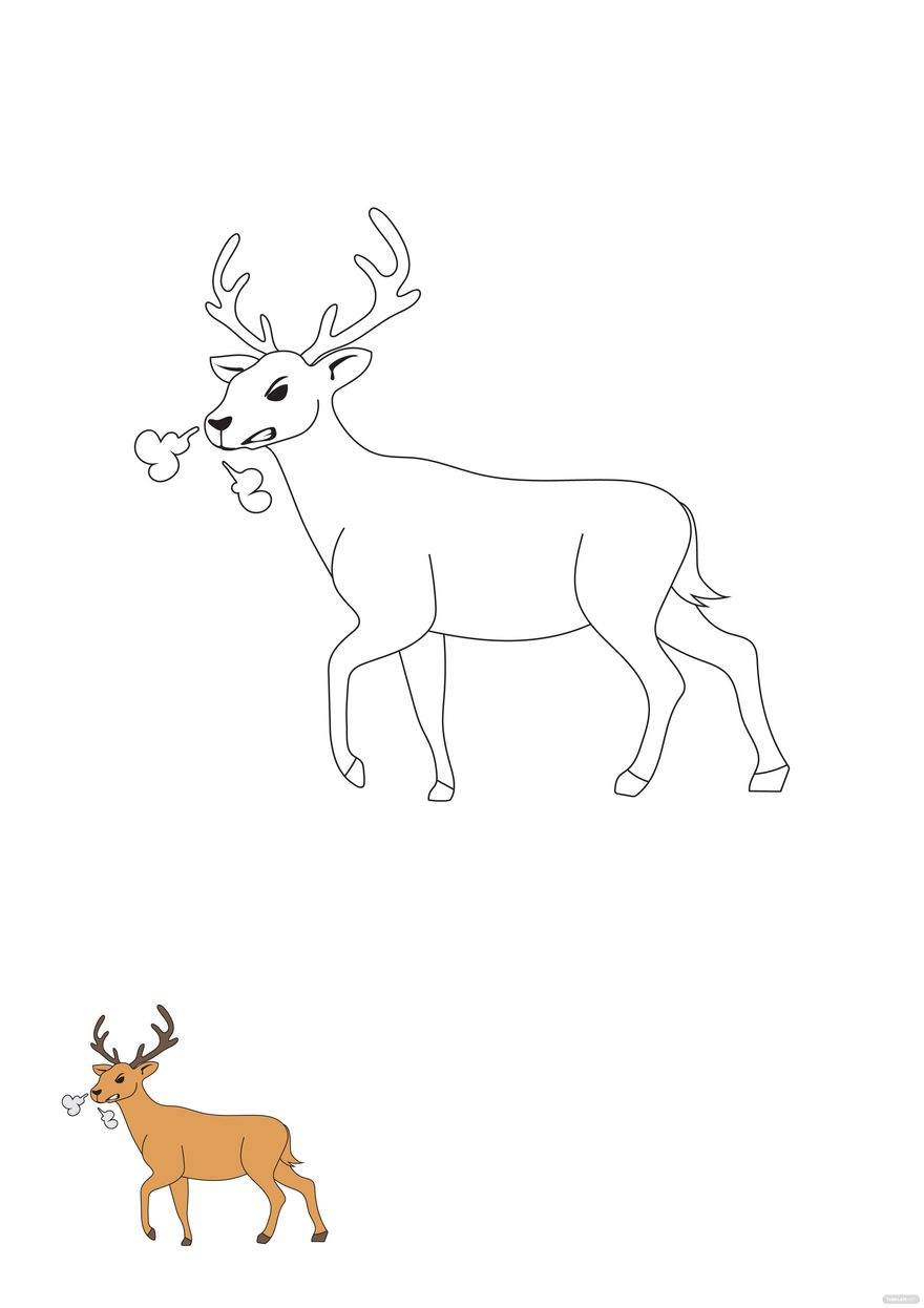 Deer coloring page in pdf