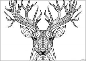 Flowery deer