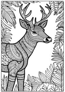 Deers