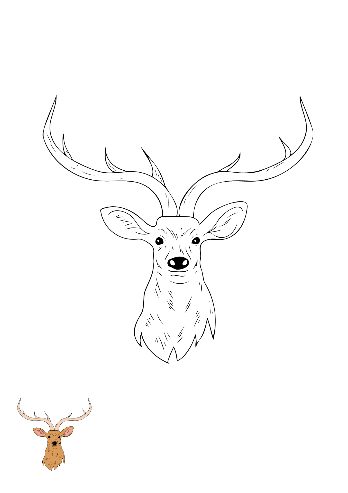 Free deer coloring page s examples