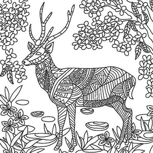 Most of people have a hobby on drawing and coloring and even kids love to color in deer maâ mandala coloring pages animal coloring pages relaxing coloring book