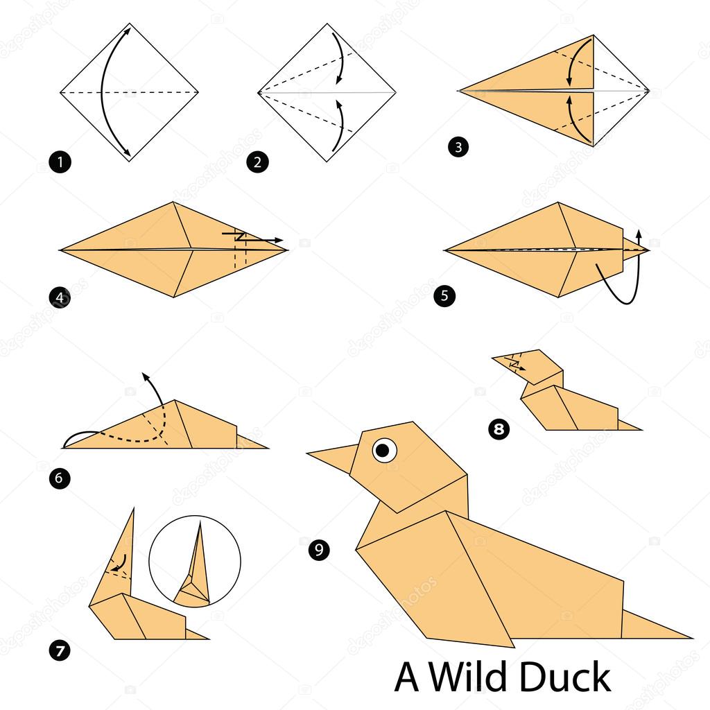 Step by step instructions how to make origami a wild duck stock vector by pokkyhotmail