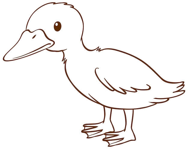 Paper duck coloring pages vectors illustrations for free download