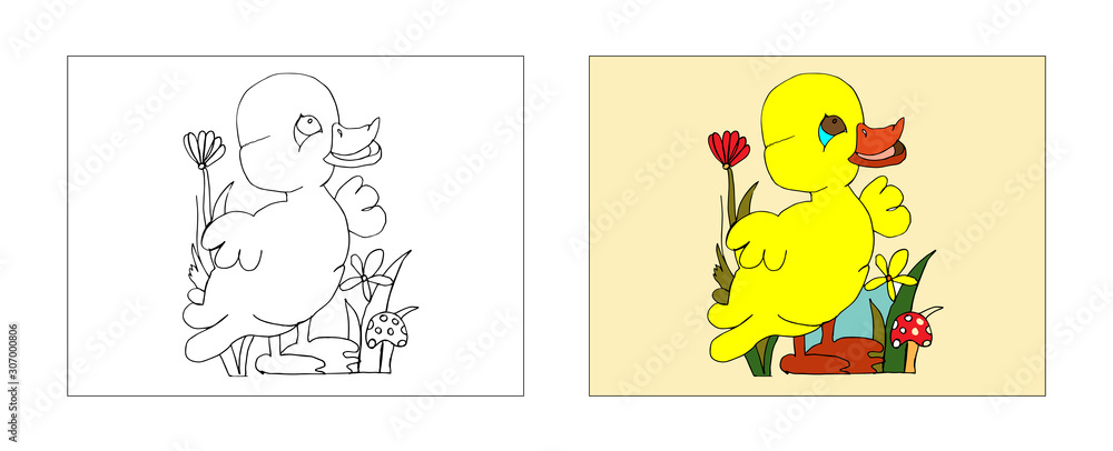 Baby duck coloring book design with monochrome and colored versions freehand sketch for adult anti stress coloring book page with doodle elements vector illustrations for kids book vector