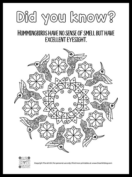 Mandala hummingbird coloring page with fun fact â the art kit