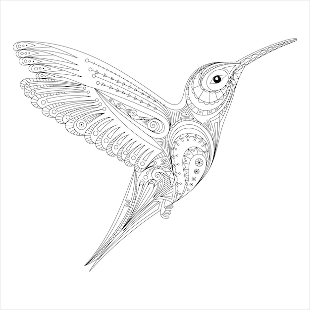 Premium vector hummingbirds doodle stylized zentangle ornament coloring book page for adult hand drawn artwork