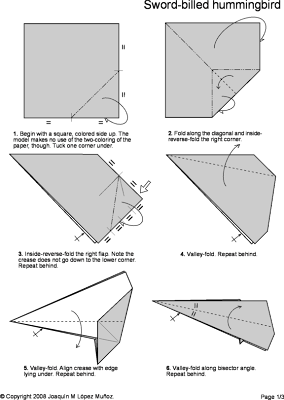 Trivial notes on themes diverse origami hummingbird diagrams