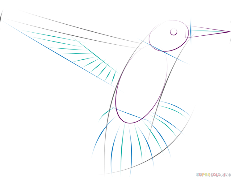 How to draw a hummingbird flying step by step drawing tutorials