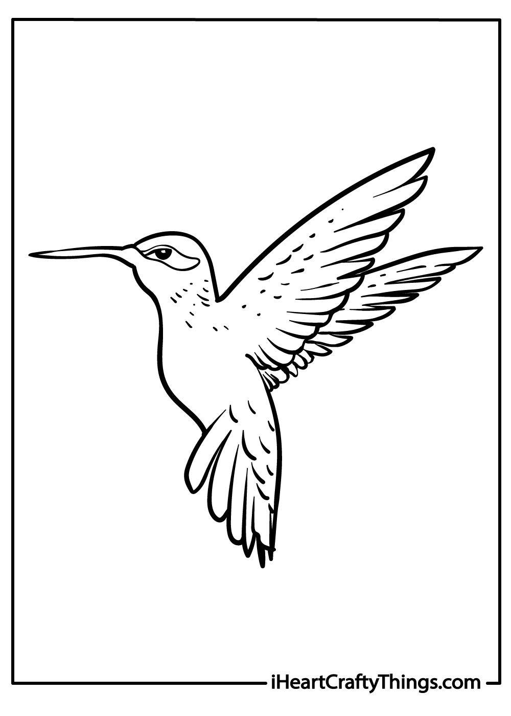 Hummingbird coloring pages free printables