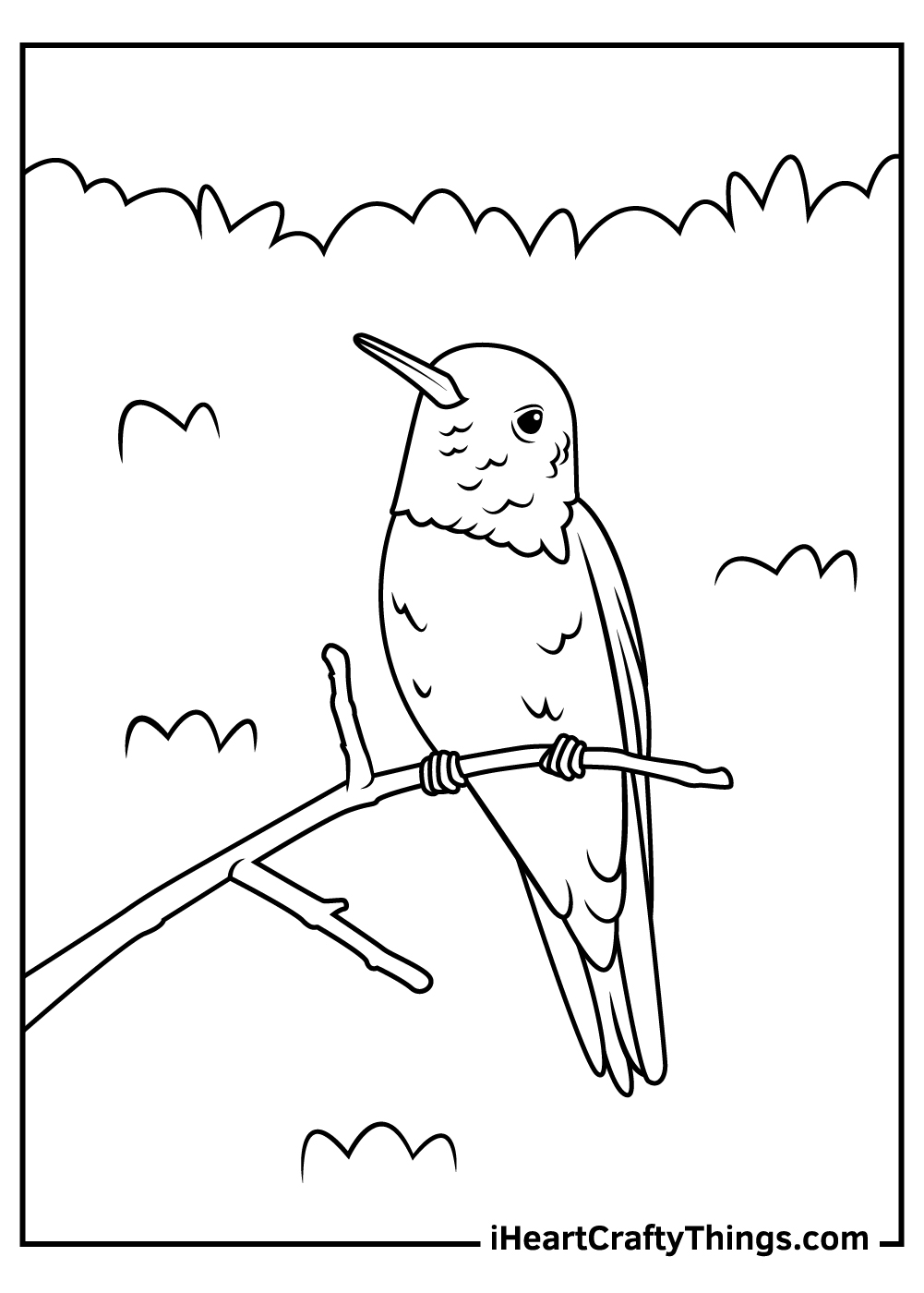 Hummingbird coloring pages free printables