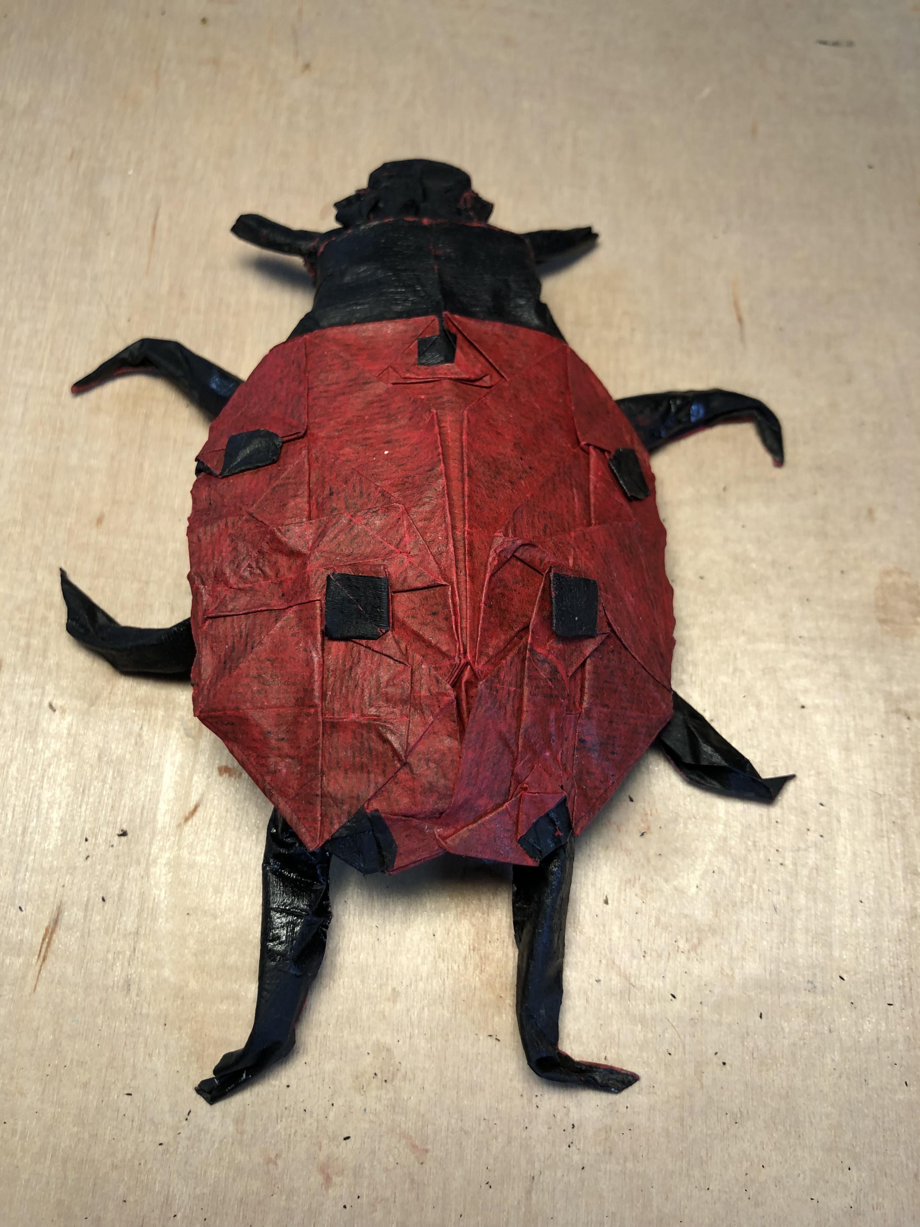 Ladybug designed by bodo haag folded from cp natural color change first cp with a color change i solved rorigami