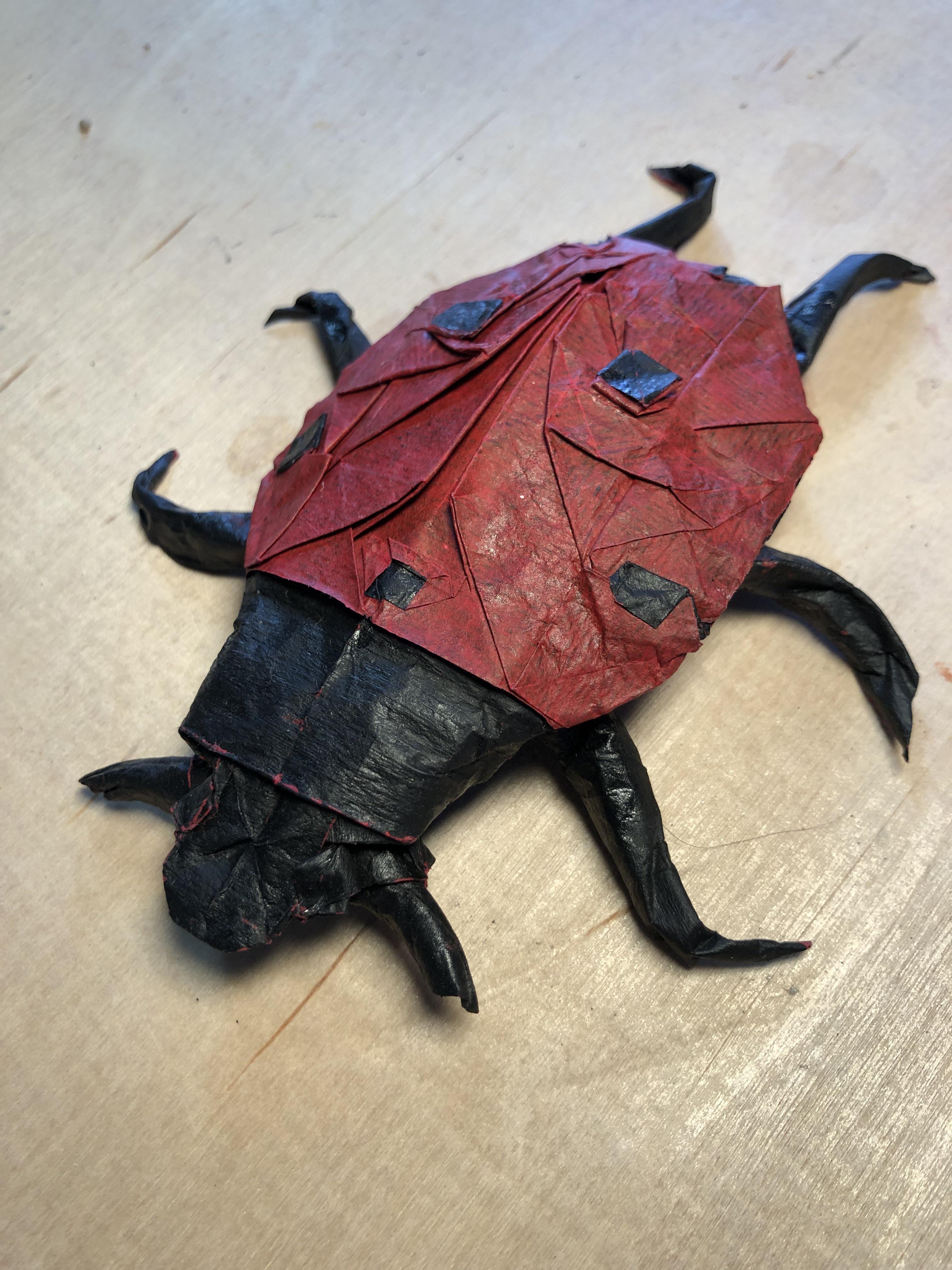 Ladybug designed by bodo haag folded from cp natural color change first cp with a color change i solved rorigami