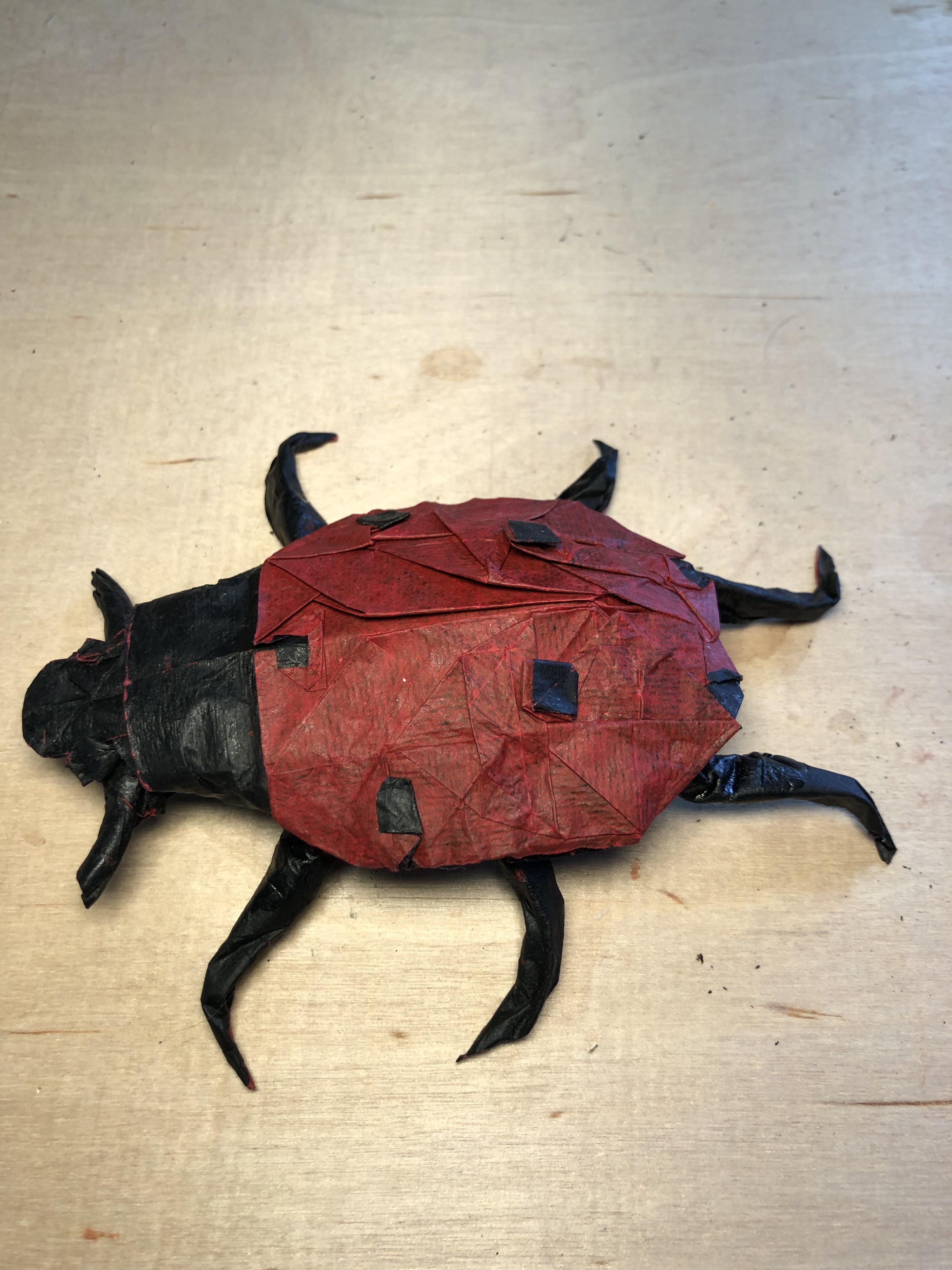 Ladybug designed by bodo haag folded from cp natural color change first cp with a color change i solved rorigami
