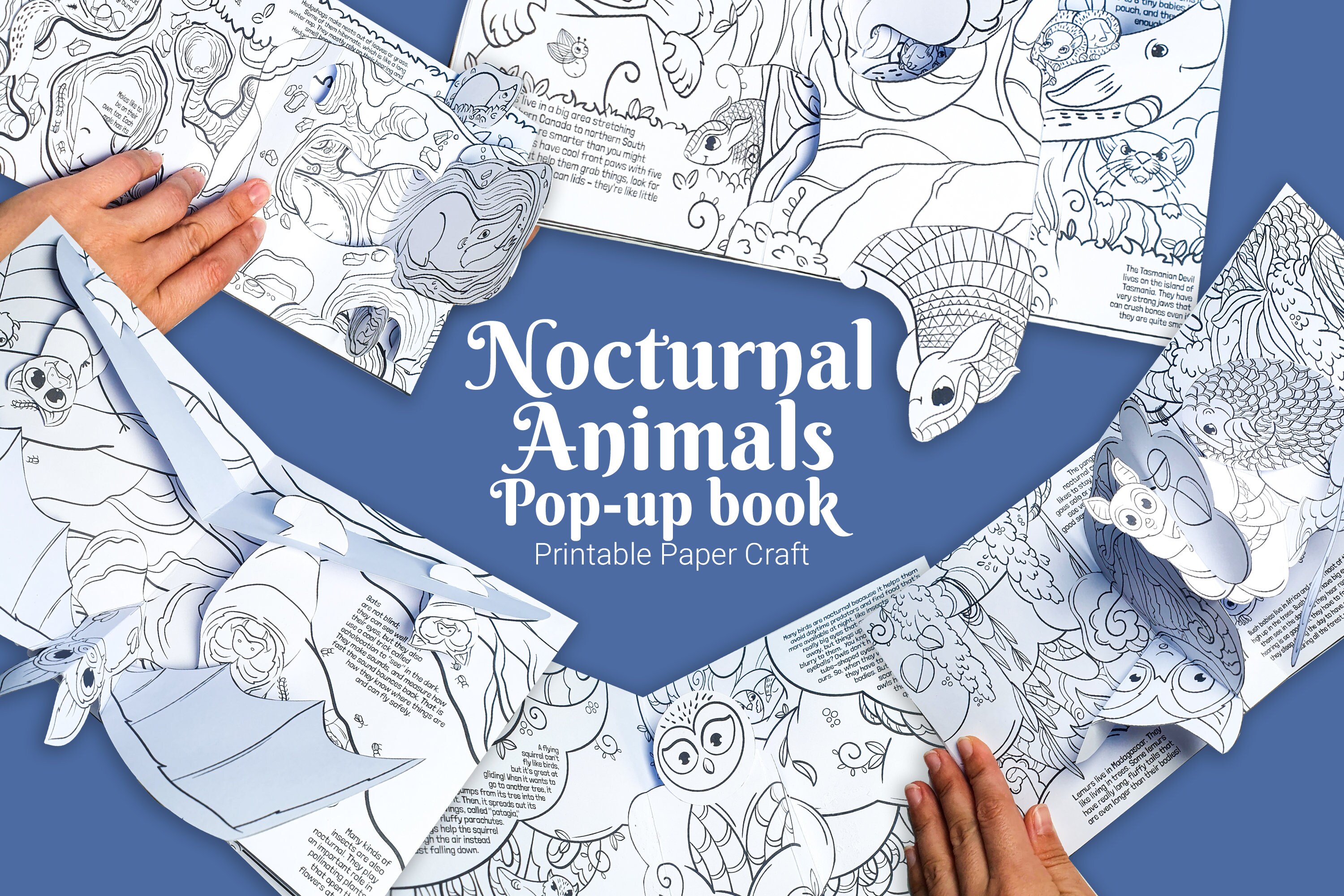 Night animals coloring pop
