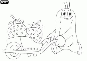 How to draw krtek mole zdenek miler coloring pages coloring for kids color therapy