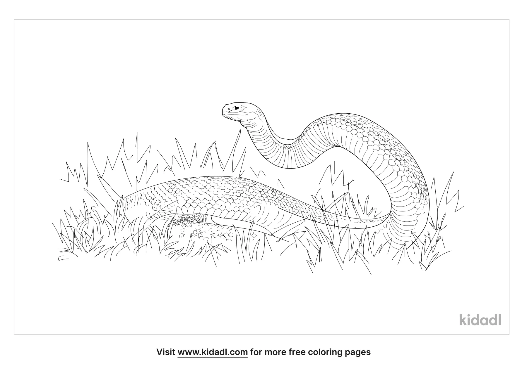 Free mole snake coloring page coloring page printables