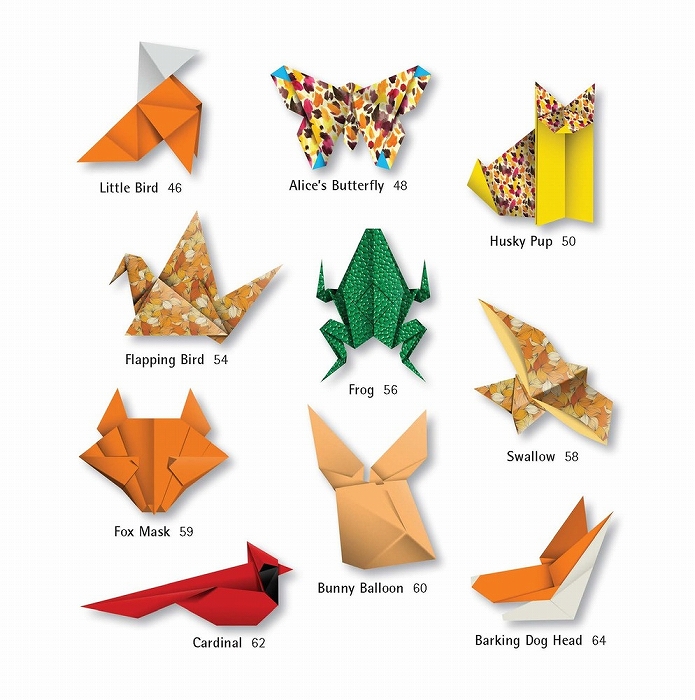 Books origami animals kit projects for all skill levels easy to follow instructions box unbnd lafosse michael g