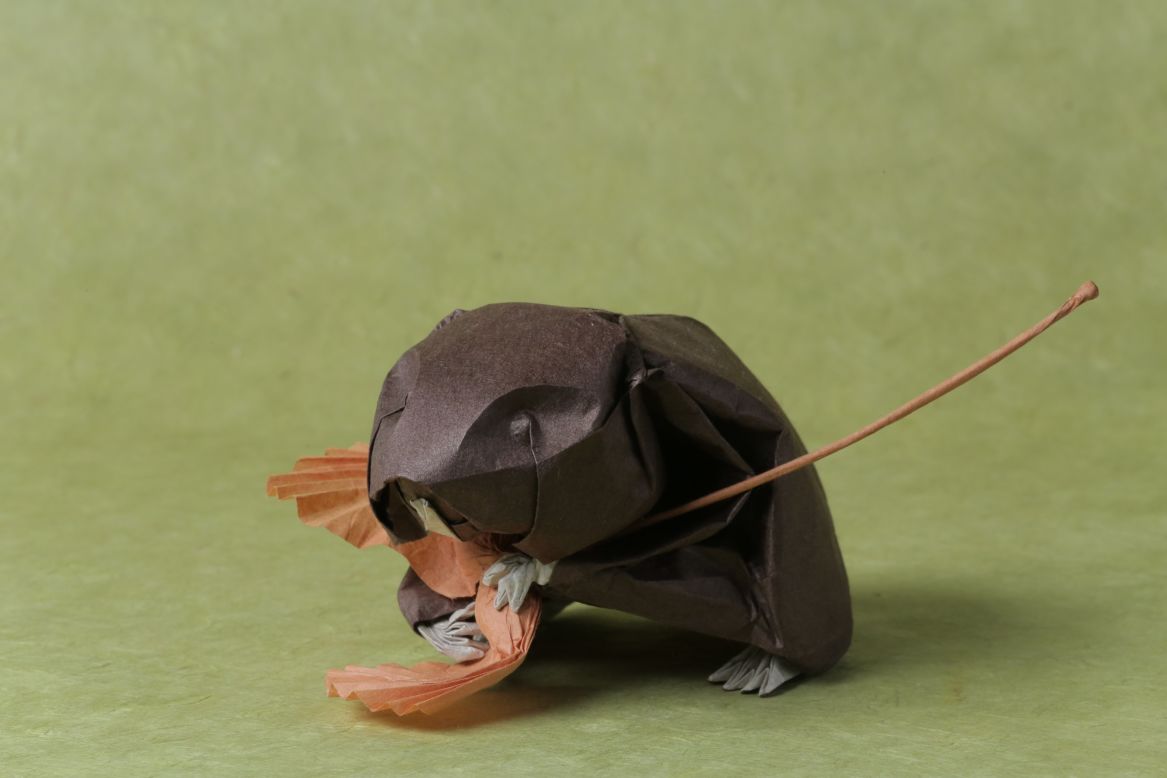 Origami gallery style