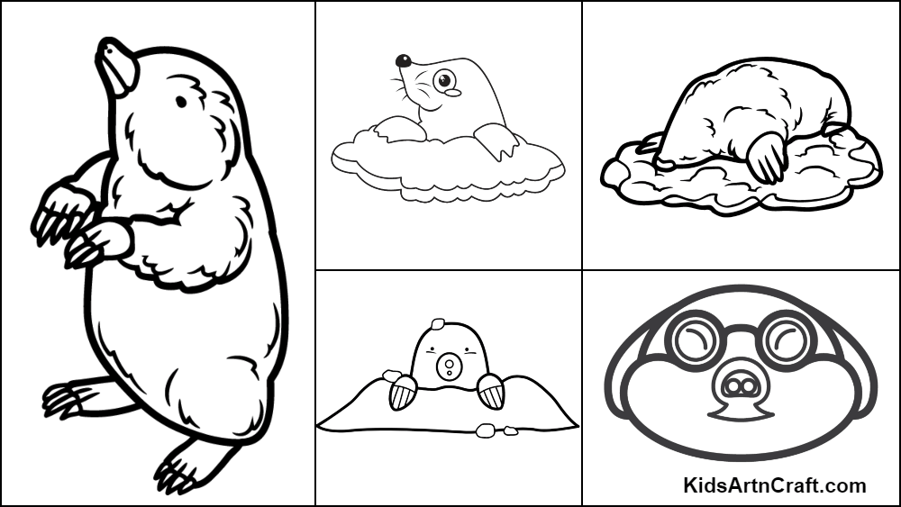 Mole coloring pages for kids â free printables