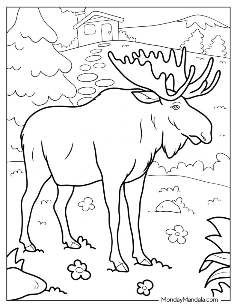 Moose coloring pages free pdf printables