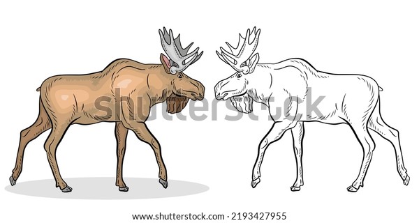 Animals moose coloring book children black stock vector royalty free