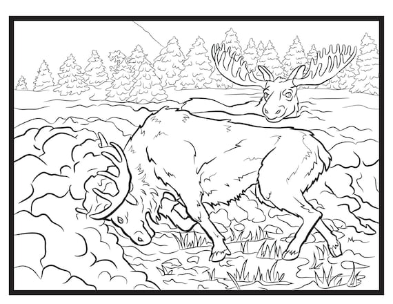 Moose single coloring page
