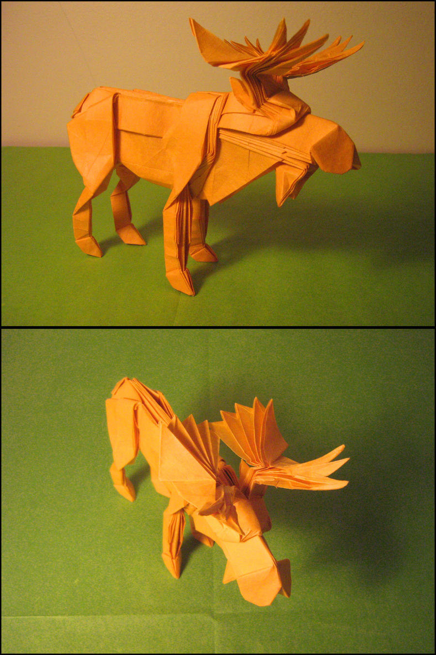 Origami moose by lexar