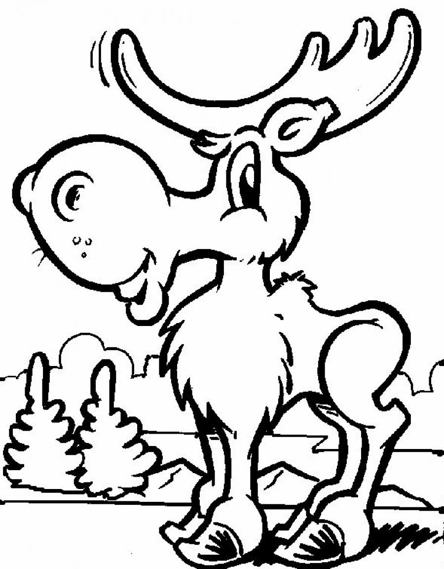 Free printable moose coloring pages for kids deer coloring pages coloring pages to print free halloween coloring pages