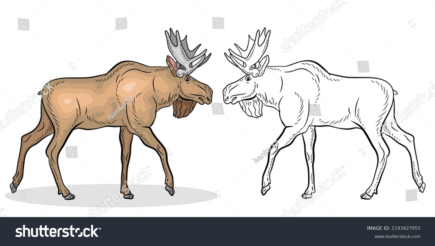 Animals moose coloring book children black stock vector royalty free