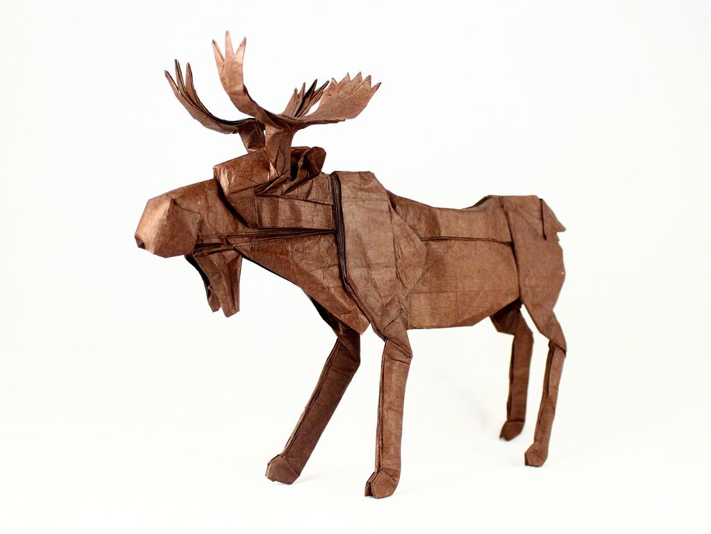 Bull moose designed by robert lang folded by me by damian malicki origami ðñððððð