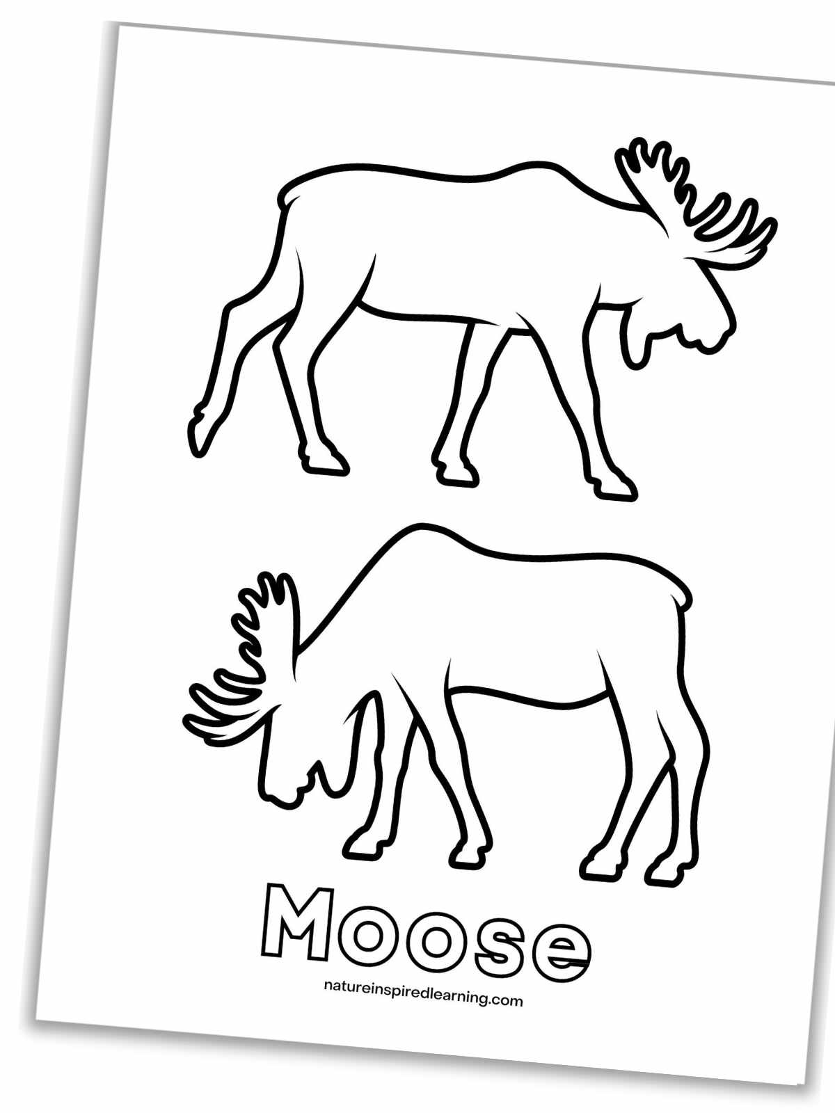 Moose coloring pages