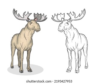 Animals moose coloring book children black stock vector royalty free