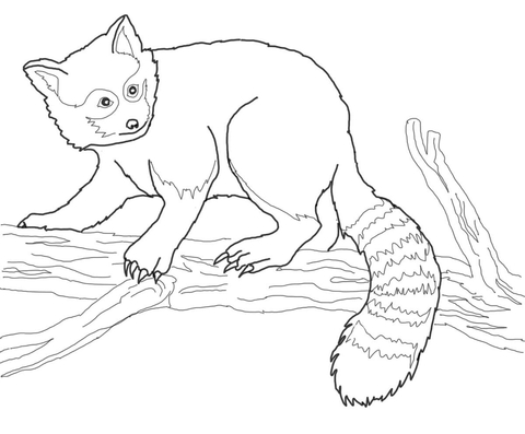 Red panda on tree coloring page free printable coloring pages