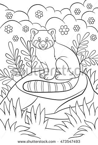 Coloring pages little cute red panda sits on the stone in the forest and smiles panda coloring pages red panda coloring pages