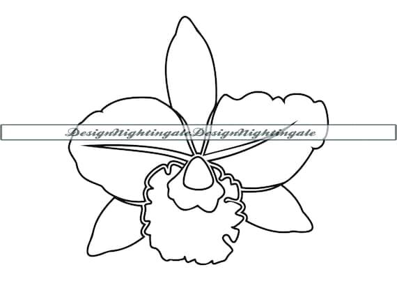 Orchid outline svg orchid flower svg flower svg orchid clipart orchid svg files orchid cut files for silhouette dxf png eps vector