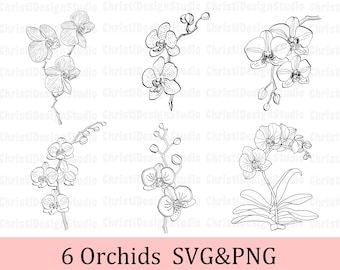 Orchids svg flowers svg orchids clipart floral svg orchid cut file flower cut file cricut wedding flowe svg floral cut file digital