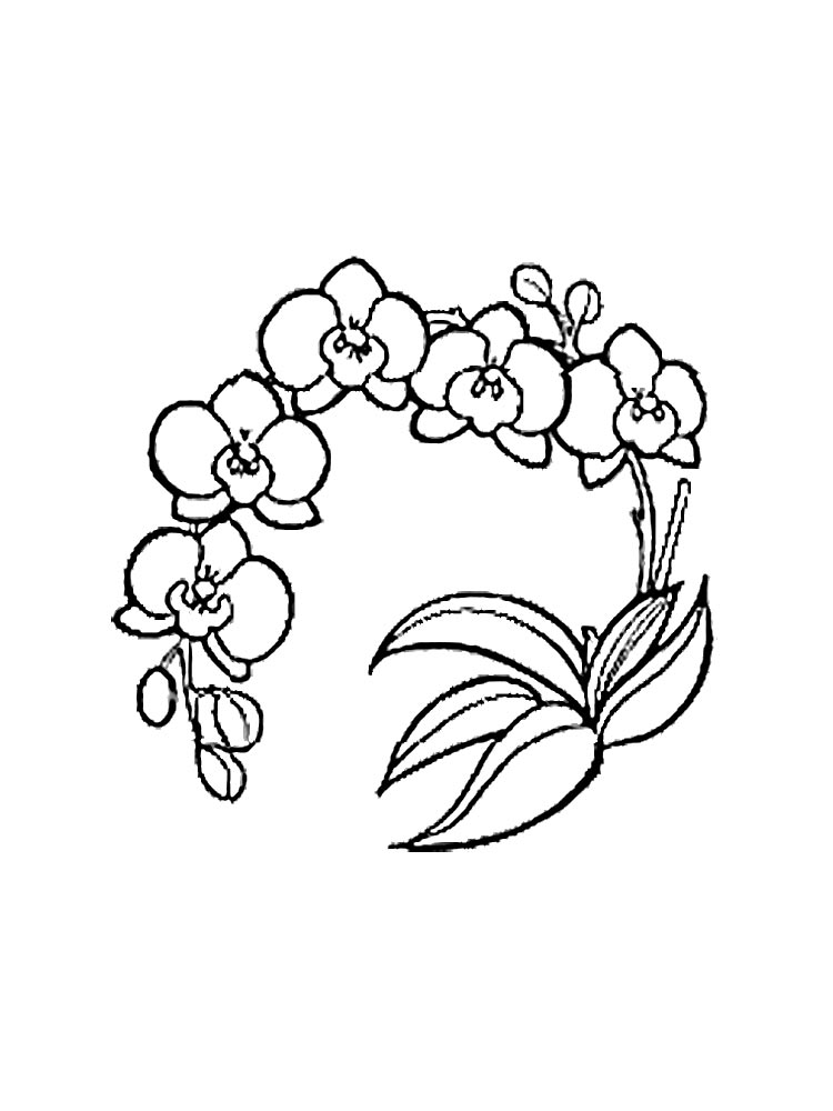 Coloring book colorful orchid garland printable and online