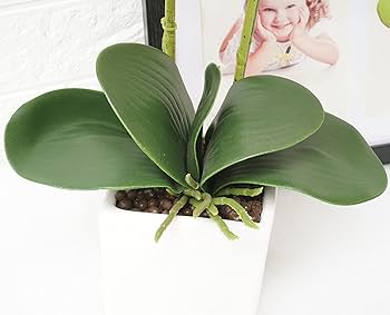 Gxlmii artificial orchids flowers with vase for table centerpieces fx orchid orquideas fake real touch large vivid phalaenopsis white plant indoor room decoration artificial flowers