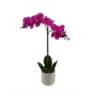 Orquideas artificiales