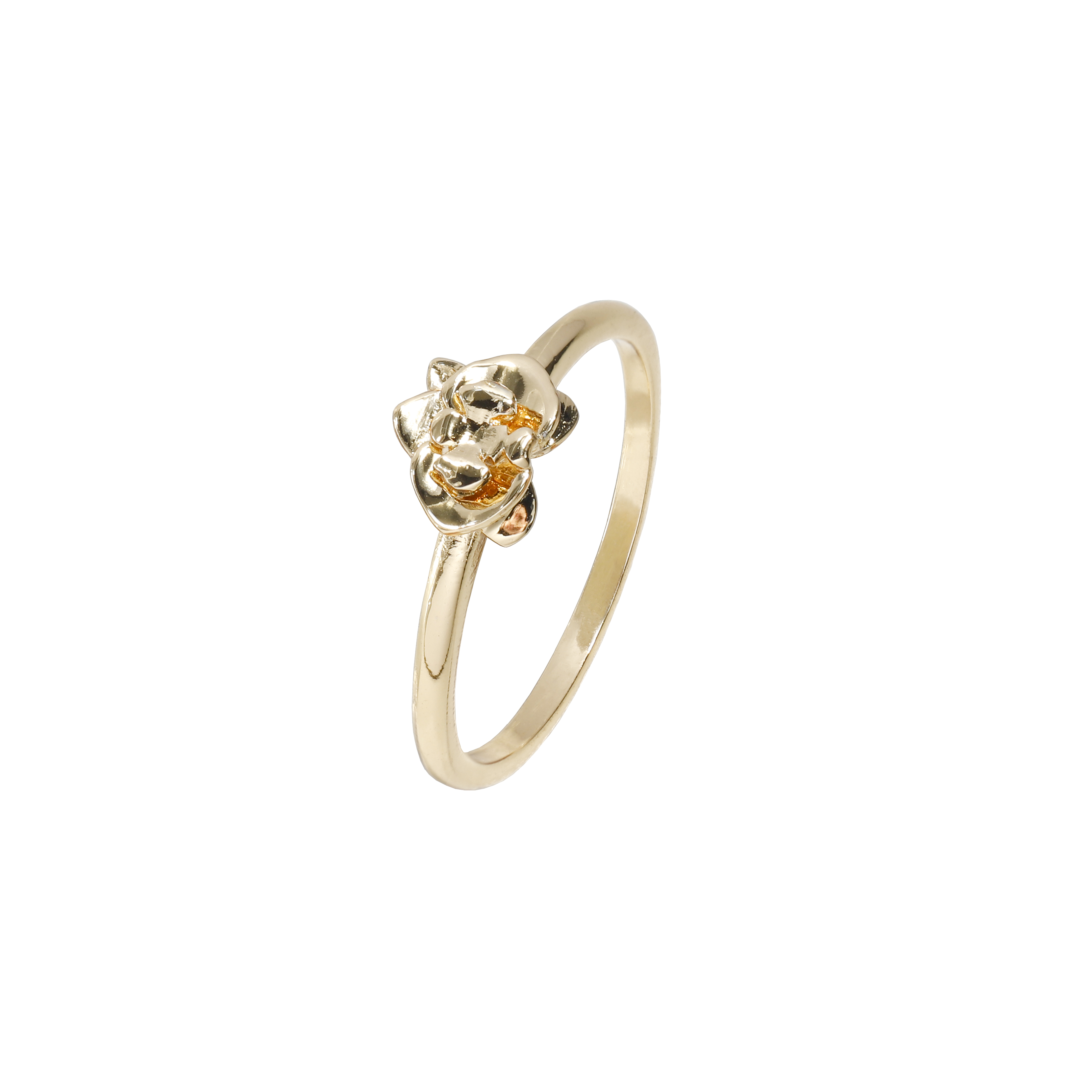 Orquãdea small dourado ring